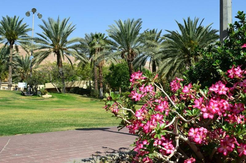 Отель כפר נופש קלי"ה ים המלח Калия Экстерьер фото