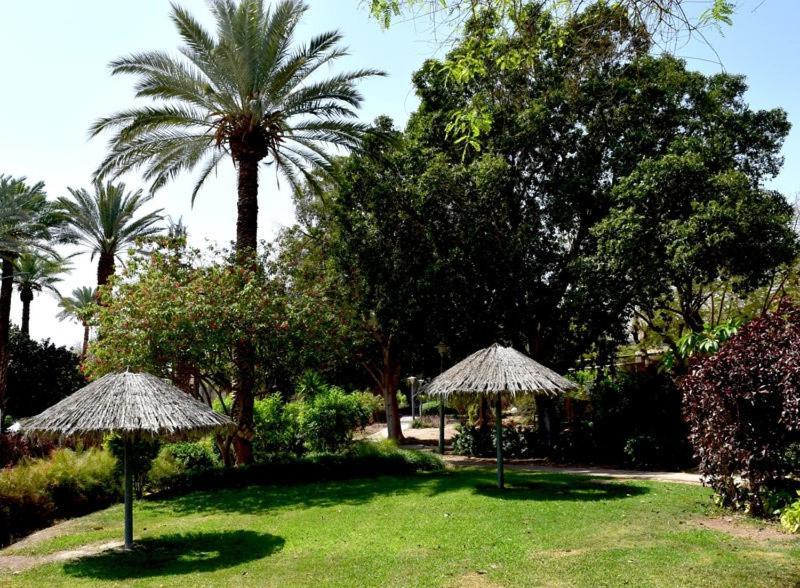 Отель כפר נופש קלי"ה ים המלח Калия Экстерьер фото