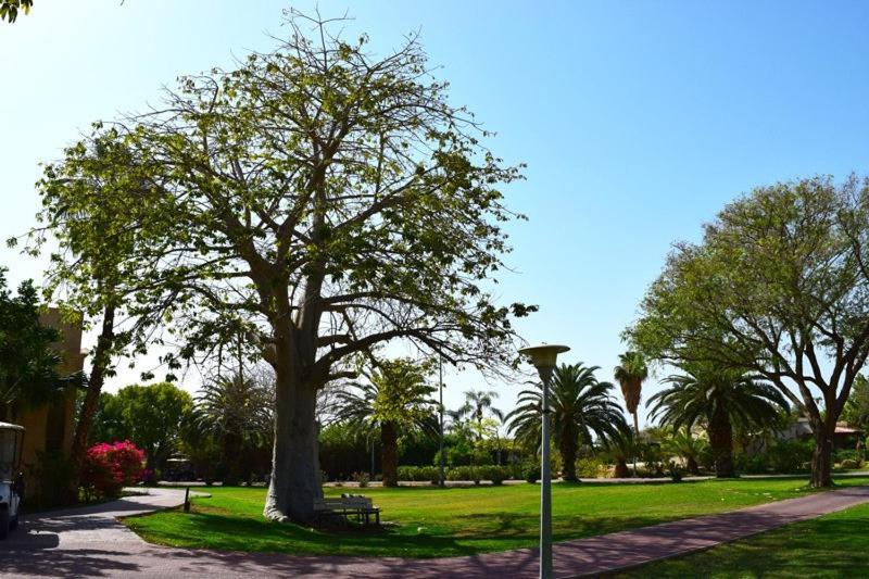Отель כפר נופש קלי"ה ים המלח Калия Экстерьер фото