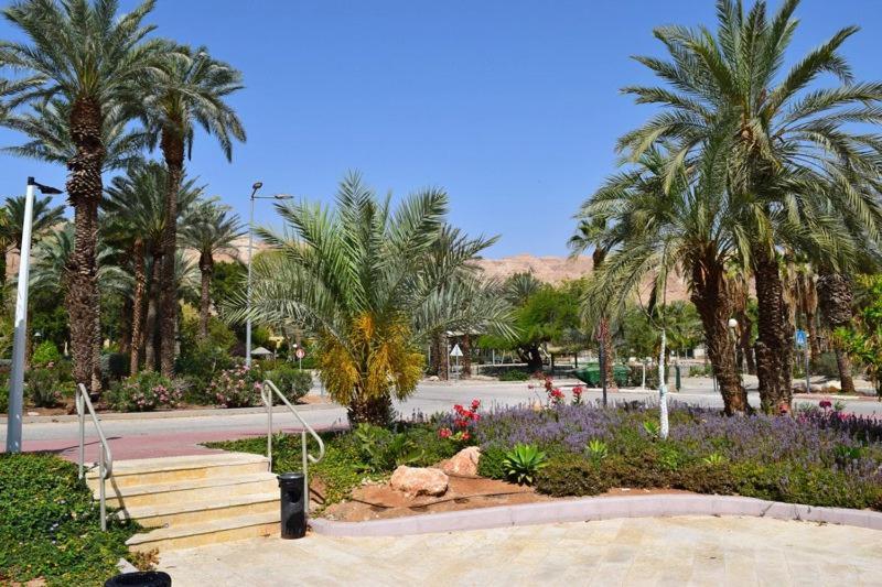 Отель כפר נופש קלי"ה ים המלח Калия Экстерьер фото