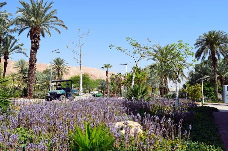 Отель כפר נופש קלי"ה ים המלח Калия Экстерьер фото
