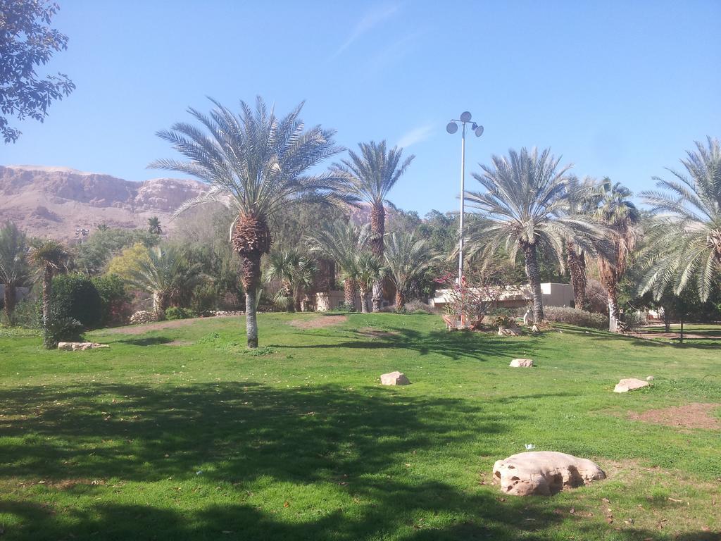 Отель כפר נופש קלי"ה ים המלח Калия Экстерьер фото